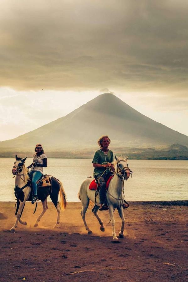Caballito'S Mar Mérida المظهر الخارجي الصورة